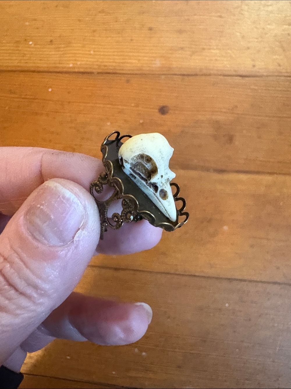 Handcrafted Bird Skull Ring in Cream and Antique Gold - Adjustable